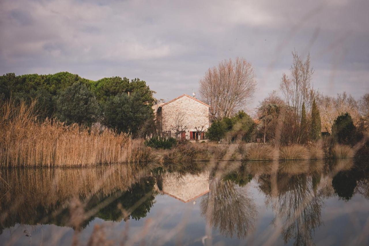 Waya A Domaine Saint Domingue Bed & Breakfast Narbonne Bagian luar foto
